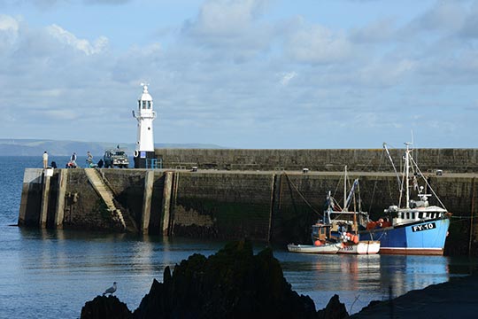 Outer Harbour Mevagissey